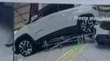 BYD Dolphin - Miniatura 13