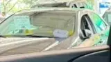 BYD Dolphin - Miniatura 15