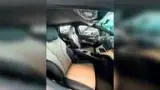 BYD Dolphin - Miniatura 17