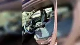 BYD Dolphin Mini - Miniatura 4