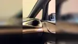 BYD Dolphin - Miniatura 10