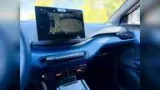 BYD Dolphin Mini - Miniatura 12