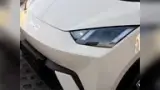 BYD Dolphin Mini - Miniatura 4