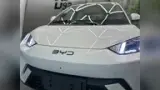 BYD Dolphin Mini - Miniatura 2