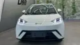 BYD Dolphin Mini - Miniatura 10