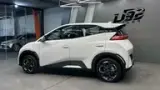 BYD Dolphin Mini - Miniatura 20