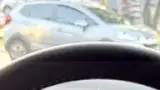 BYD Dolphin Mini - Miniatura 14