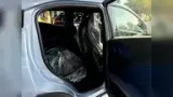 BYD Dolphin Mini - Miniatura 19