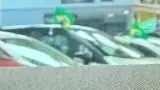 BYD Dolphin - Miniatura 12