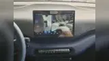 BYD Dolphin Mini - Miniatura 5