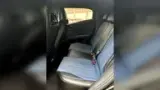 BYD Dolphin Mini - Miniatura 7