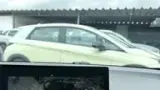 BYD Dolphin Mini - Miniatura 11