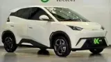 BYD Dolphin Mini - Miniatura 1