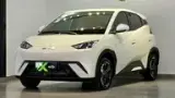 BYD Dolphin Mini - Miniatura 3