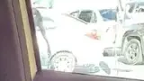 BYD Dolphin Mini - Miniatura 15