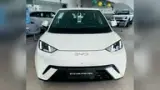 BYD Dolphin Mini - Miniatura 1