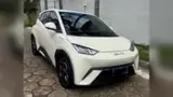BYD Dolphin Mini - Miniatura 3
