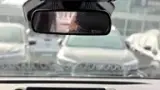 BYD Dolphin Plus - Miniatura 12