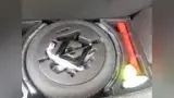 BYD Dolphin - Miniatura 6
