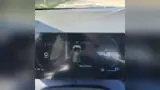 BYD Dolphin Mini - Miniatura 13