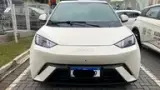 BYD Dolphin Mini - Miniatura 2