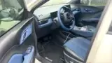 BYD Dolphin Mini - Miniatura 7