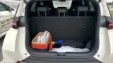BYD Dolphin Mini - Miniatura 9