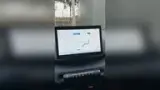 BYD Dolphin Mini - Miniatura 12