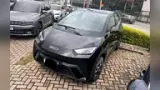 BYD Dolphin Mini - Miniatura 1