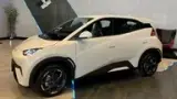 BYD Dolphin Mini - Miniatura 1