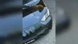 BYD Dolphin Mini - Miniatura 2
