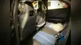 BYD Dolphin Mini - Miniatura 11