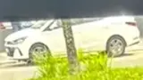 BYD Dolphin Mini - Miniatura 7