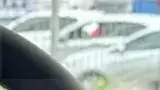 BYD Dolphin - Miniatura 3