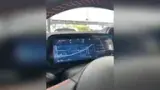 BYD Dolphin - Miniatura 4
