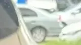 BYD Dolphin - Miniatura 6