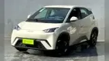 BYD Dolphin - Miniatura 1