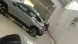BYD Dolphin Mini - Miniatura 7