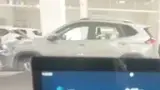 BYD Dolphin Mini - Miniatura 10