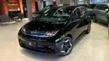 BYD Dolphin - Miniatura 1