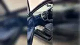 BYD Dolphin Mini - Miniatura 6
