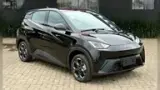 BYD Dolphin Mini - Miniatura 1