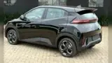 BYD Dolphin Mini - Miniatura 3