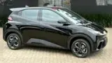 BYD Dolphin Mini - Miniatura 4