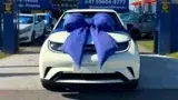 BYD Dolphin - Miniatura 1