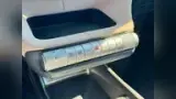 BYD Dolphin - Miniatura 15