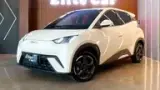 BYD Dolphin Mini - Miniatura 1