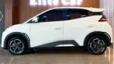 BYD Dolphin Mini - Miniatura 2