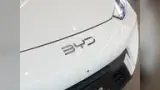 BYD Dolphin Mini - Miniatura 4