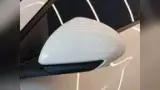 BYD Dolphin Mini - Miniatura 5